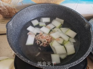 羊肉丸子冬瓜汤的做法步骤：9