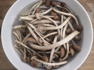 茶树菇鱼丸鸡汤的做法步骤：1