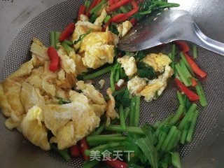芹菜辣椒炒鸡蛋的做法步骤：5