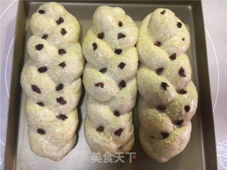 全麦酸奶辫子面包（一次发酵法）的做法步骤：16