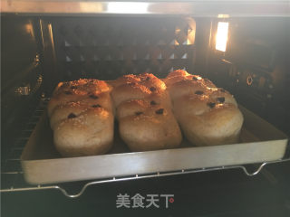 全麦酸奶辫子面包（一次发酵法）的做法步骤：17