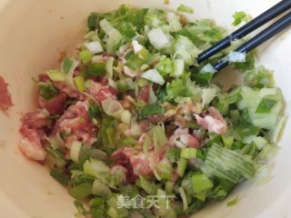 芹菜尖椒猪肉馅水饺的做法步骤：4