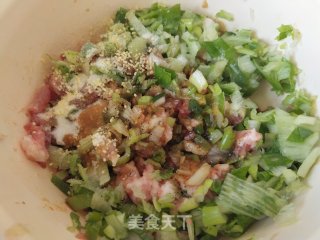 芹菜尖椒猪肉馅水饺的做法步骤：5