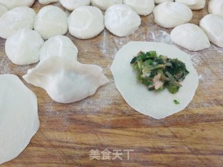 芹菜尖椒猪肉馅水饺的做法步骤：9