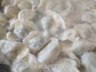 芹菜尖椒猪肉馅水饺的做法步骤：10