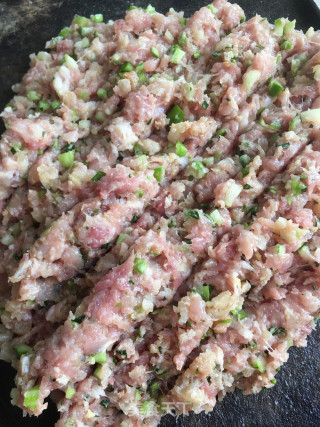 豆角肉饺的做法步骤：3