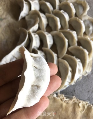 豆角肉饺的做法步骤：9