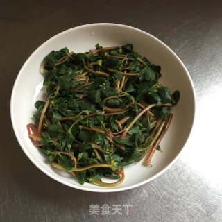 炝拌马齿苋的做法步骤：3