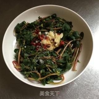 炝拌马齿苋的做法步骤：5