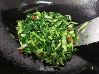 清炒小青菜的做法步骤：6