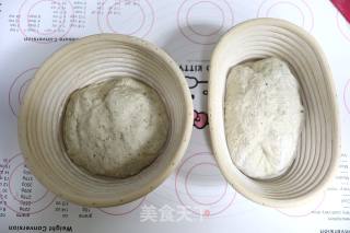 波兰种多谷欧包的做法步骤：10