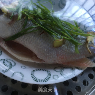 红椒鲈鱼蒸秋葵的做法步骤：5