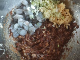 猪肉西葫虾仁水饺的做法步骤：11