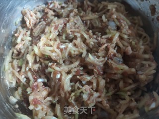 猪肉西葫虾仁水饺的做法步骤：14