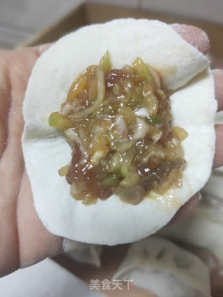 猪肉西葫虾仁水饺的做法步骤：17