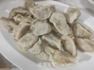 猪肉西葫虾仁水饺的做法步骤：19