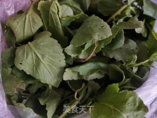 萝卜缨鸡蛋水饺的做法步骤：4