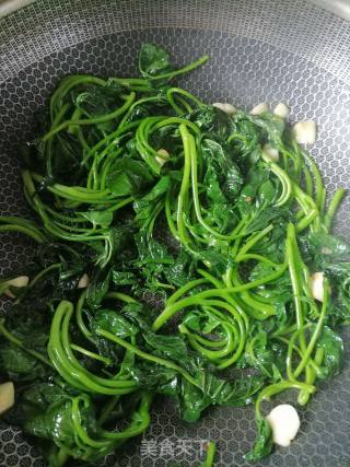 清炒红薯叶的做法步骤：4