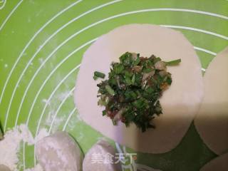 韭菜鲜肉饺子的做法步骤：5