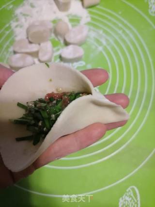 韭菜鲜肉饺子的做法步骤：6