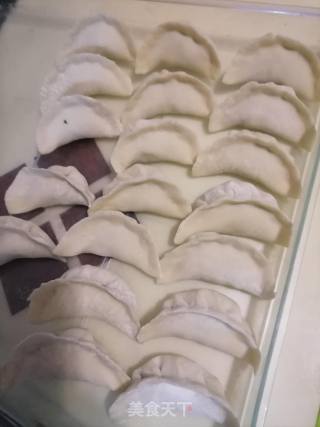 韭菜鲜肉饺子的做法步骤：7