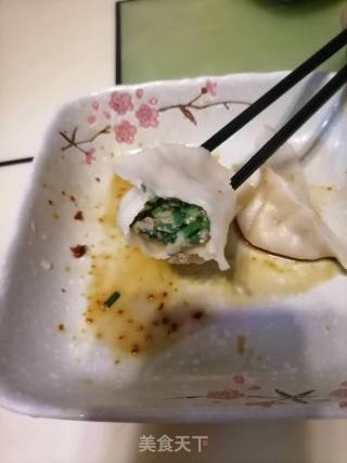 韭菜鲜肉饺子的做法步骤：10