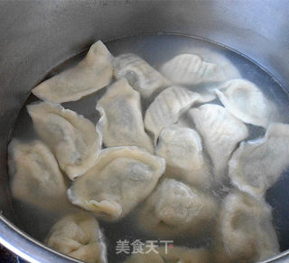 韭菜猪肉水饺的做法步骤：8