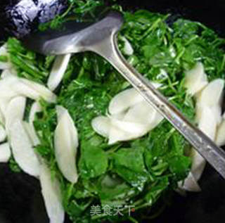 清炒豆苗茭白的做法步骤：6