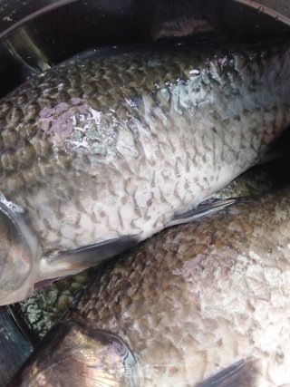 香酥脆皮鱼的做法步骤：1