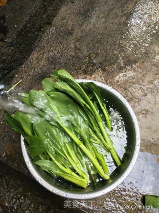 清炒油菜的做法步骤：1