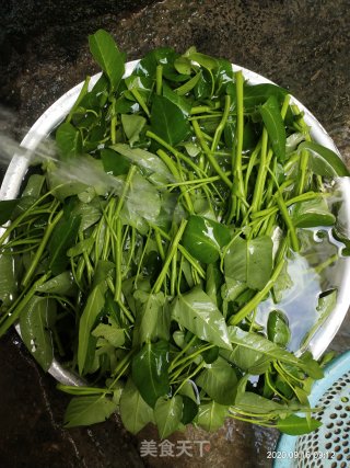 蒜蓉炒空心菜的做法步骤：1