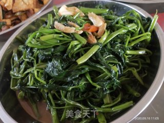 蒜蓉炒空心菜的做法步骤：4