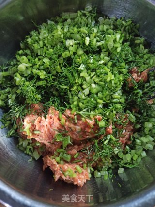 鲜肉茴香饺子的做法步骤：3