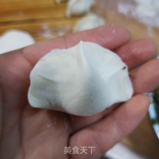 鲜肉茴香饺子的做法步骤：9