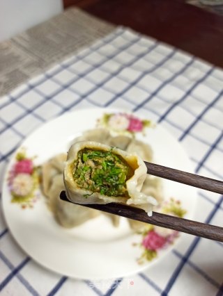 鲜肉茴香饺子的做法步骤：11