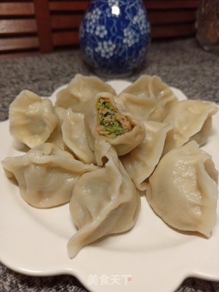 鲜肉茴香饺子的做法步骤：12