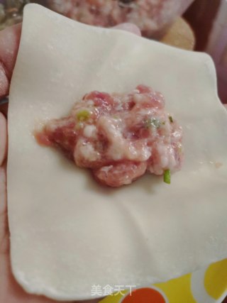 鲜虾馄饨的做法步骤：5