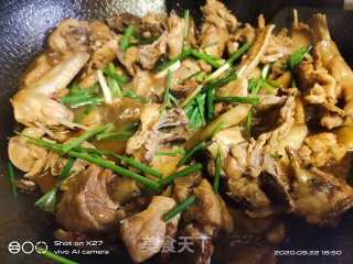 香菇嫩姜烧鸡肉的做法步骤：10