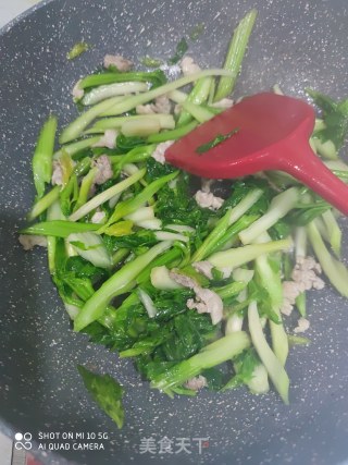 快手小炒   芹菜炒粉的做法步骤：7