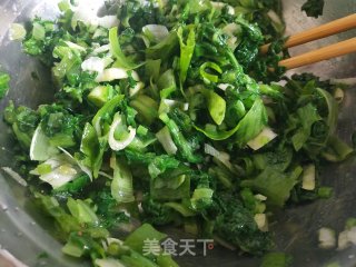 小白菜胡萝卜素包子的做法步骤：6