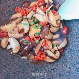 蚝油香菇的做法步骤：9