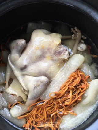 虫草花竹荪炖鸽子的做法步骤：10