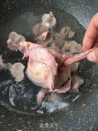 灵芝山药炖鸽子的做法步骤：1