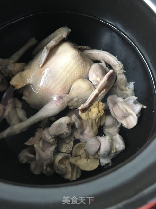 灵芝山药炖鸽子的做法步骤：4