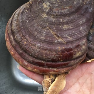 灵芝山药炖鸽子的做法步骤：6