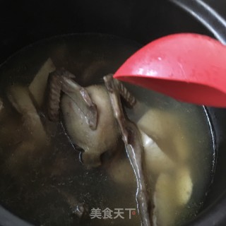 灵芝山药炖鸽子的做法步骤：9