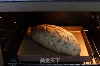 谷物面包的做法步骤：6