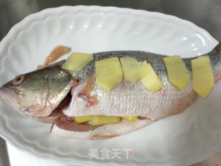豆酱蒸鲈鱼的做法步骤：4