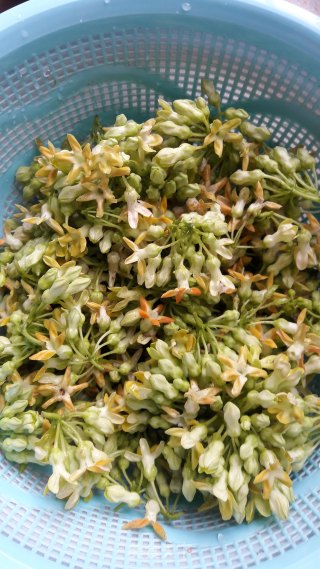 蒜炒夜香花的做法步骤：1