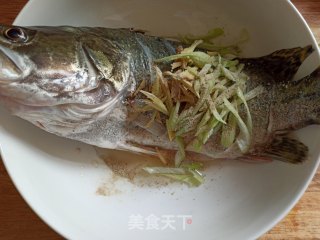 清蒸鳜(桂)鱼的做法步骤：4